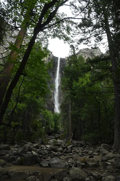 DSC_4602 (Large).JPG